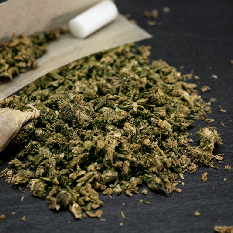 Cannabis Advocacy and Social Justice