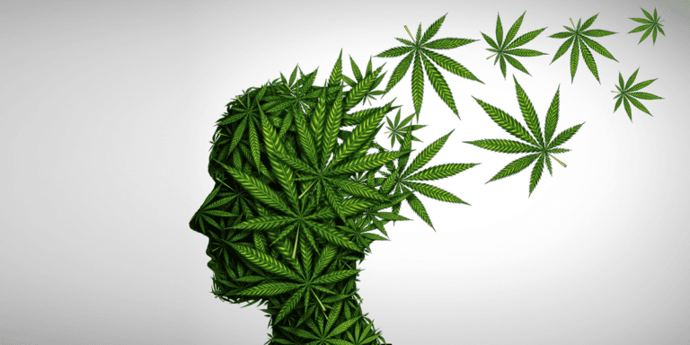 Cannabis and Mental Health